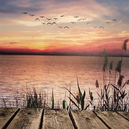 Fewo Erholsame Auszeit Neubrandenburg Esterno foto